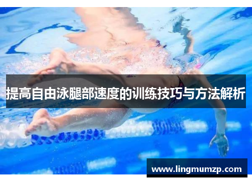 提高自由泳腿部速度的训练技巧与方法解析